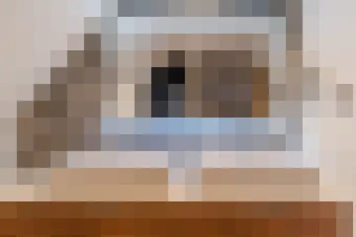 Hoofdstraat 44 Hoogeloon thumbnail 34