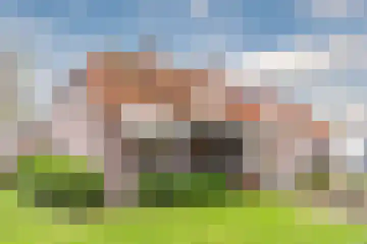 Hoofdstraat 44 Hoogeloon thumbnail 55