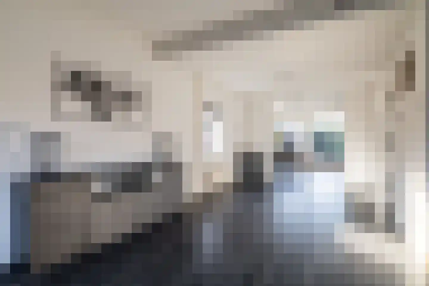 Hoofdstraat 44 Vroomshoop thumbnail 13