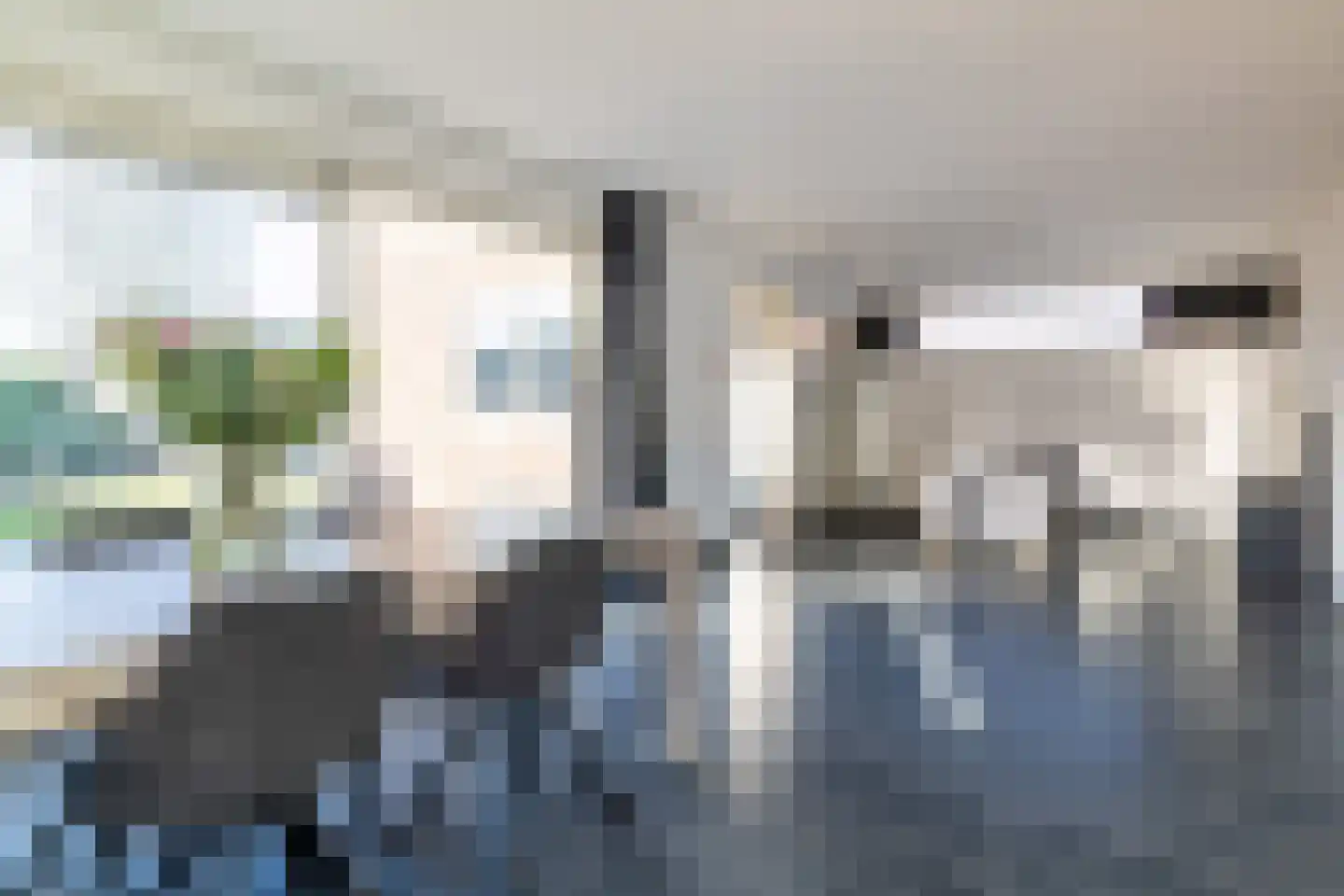 Hoofdstraat 44 Vroomshoop thumbnail 15
