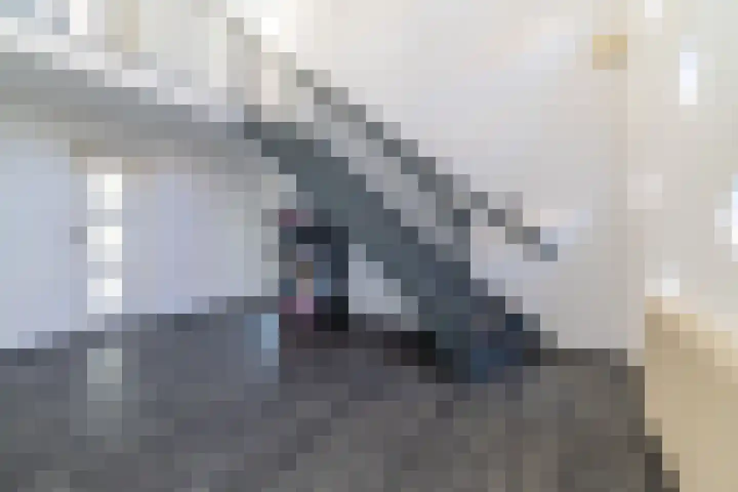 Hoofdstraat 44 Vroomshoop thumbnail 5