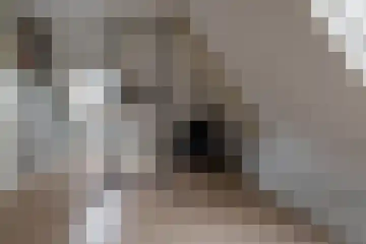 Hoofdstraat 5 Deurningen thumbnail 26