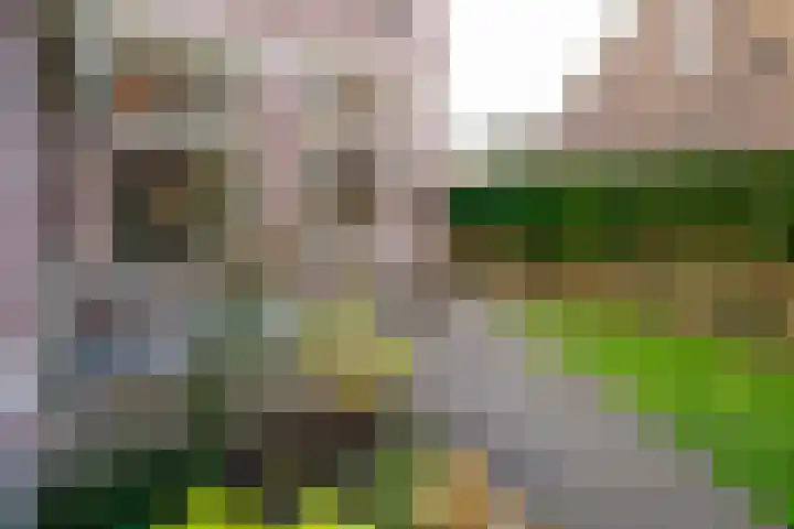 Hoofdstraat 5 Deurningen thumbnail 32