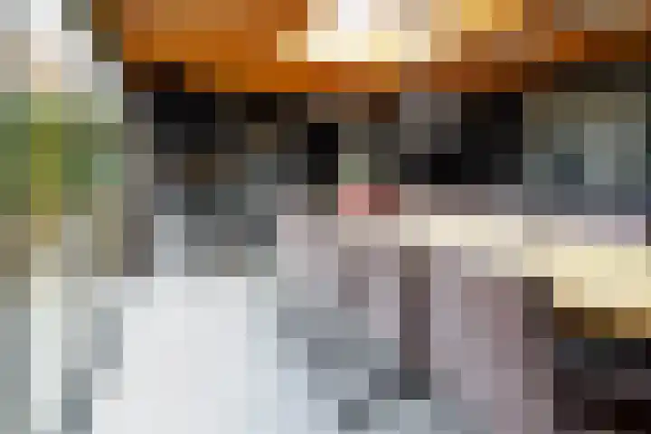 Hoofdstraat 5 Deurningen thumbnail 33