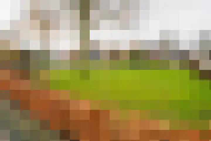 Hoofdstraat 5 Deurningen thumbnail 41