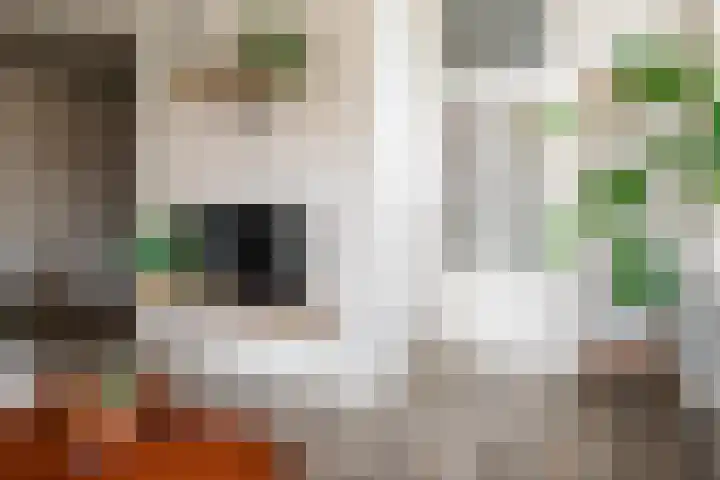 Hoofdstraat 5 Deurningen thumbnail 7