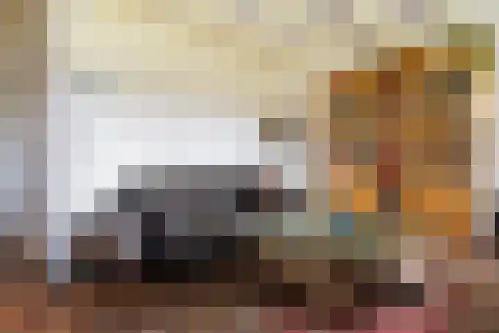 Hoofdstraat 5 Schoonloo thumbnail 10