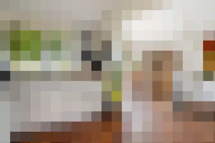 Hoofdstraat 5 Schoonloo thumbnail 12