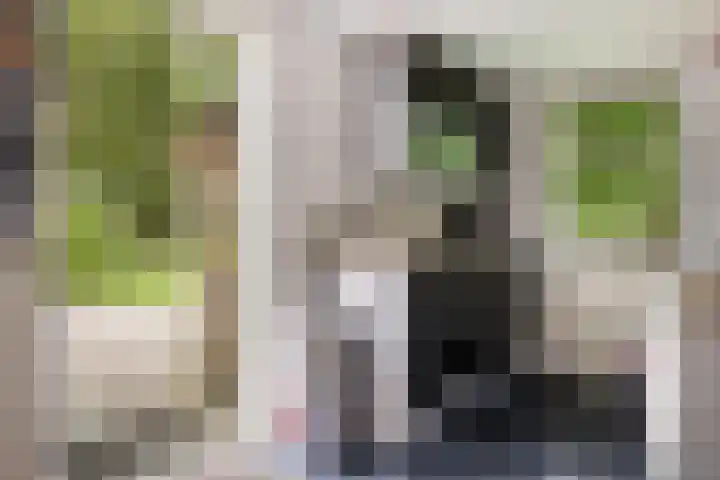 Hoofdstraat 5 Schoonloo thumbnail 18