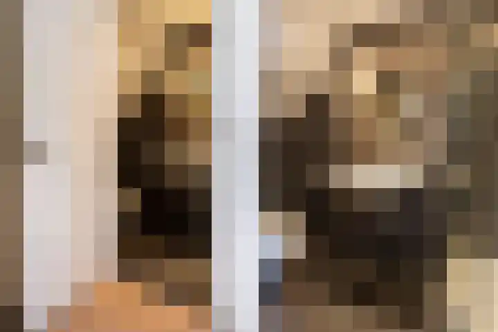 Hoofdstraat 5 Schoonloo thumbnail 23