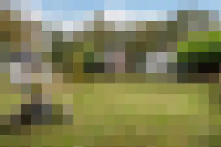 Hoofdstraat 5 Schoonloo thumbnail 25