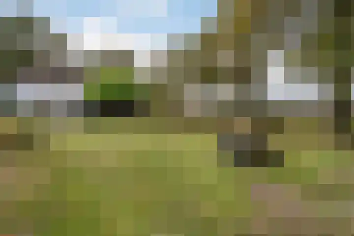 Hoofdstraat 5 Schoonloo thumbnail 26