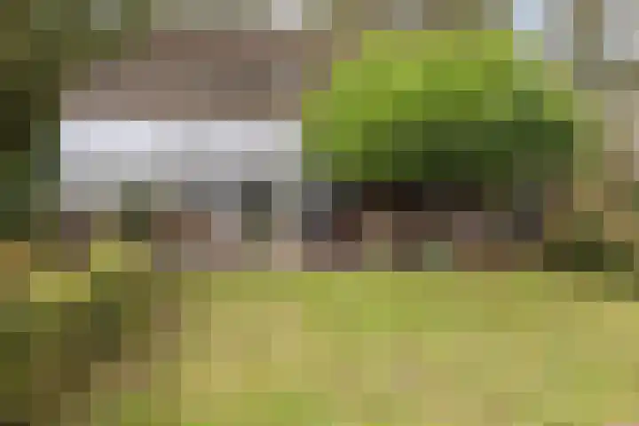 Hoofdstraat 5 Schoonloo thumbnail 27