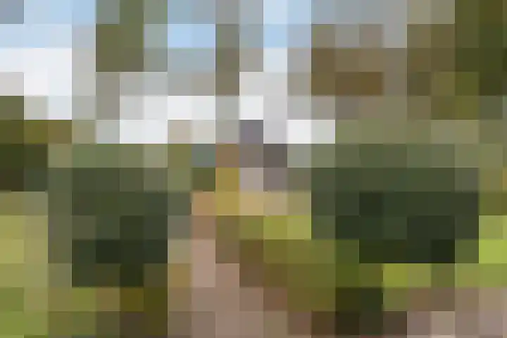 Hoofdstraat 5 Schoonloo thumbnail 28