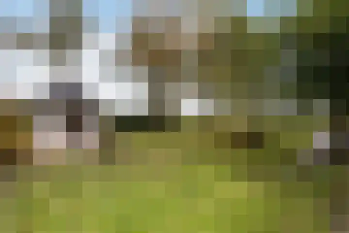 Hoofdstraat 5 Schoonloo thumbnail 29