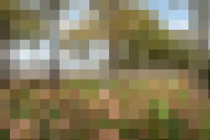 Hoofdstraat 5 Schoonloo thumbnail 34