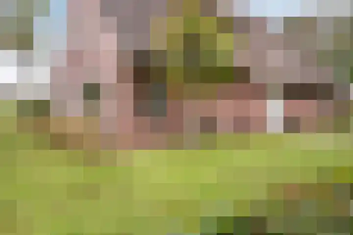 Hoofdstraat 5 Schoonloo thumbnail 37