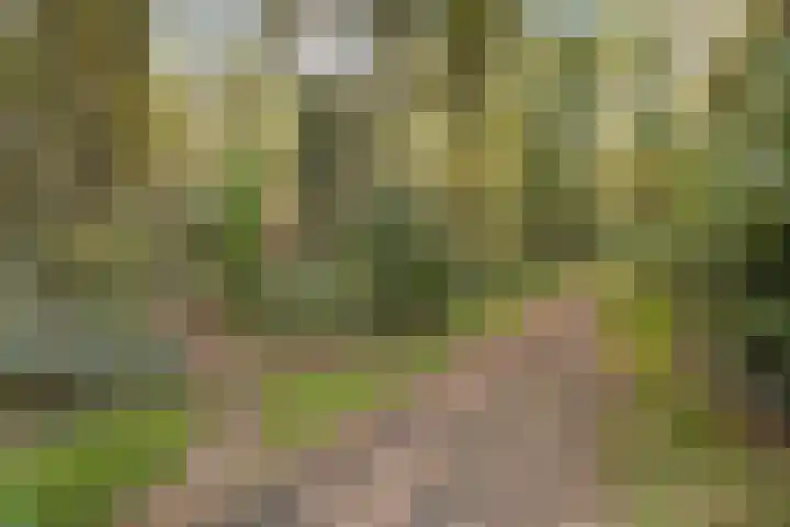 Hoofdstraat 5 Schoonloo thumbnail 46