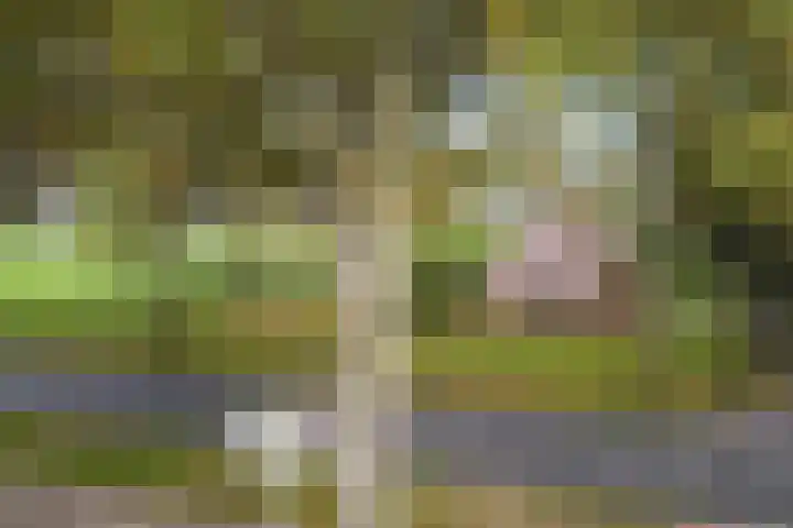 Hoofdstraat 5 Schoonloo thumbnail 48