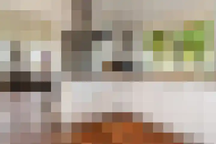 Hoofdstraat 5 Schoonloo thumbnail 6