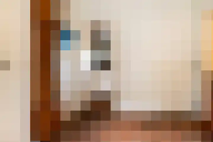 Hoofdstraat 5 Schoonloo thumbnail 8