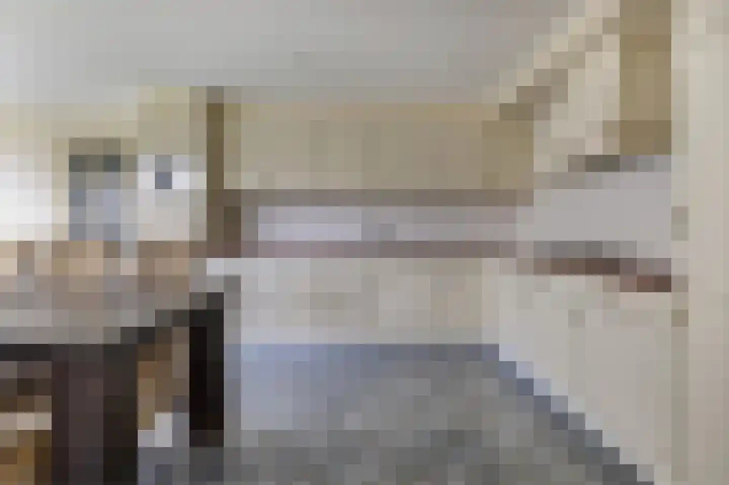 Hoofdstraat 52 Uithuizermeeden thumbnail 13