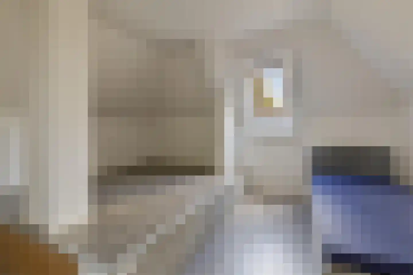 Hoofdstraat 52 Uithuizermeeden thumbnail 36