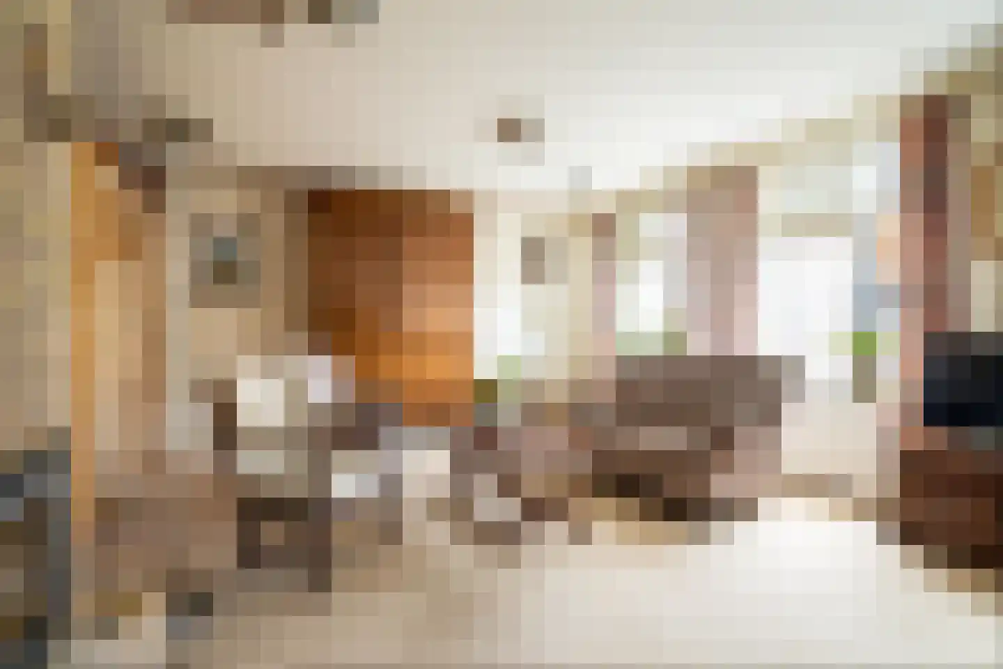Hoofdstraat 55 Diever thumbnail 11