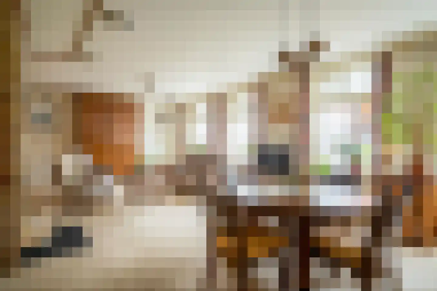 Hoofdstraat 55 Diever thumbnail 13