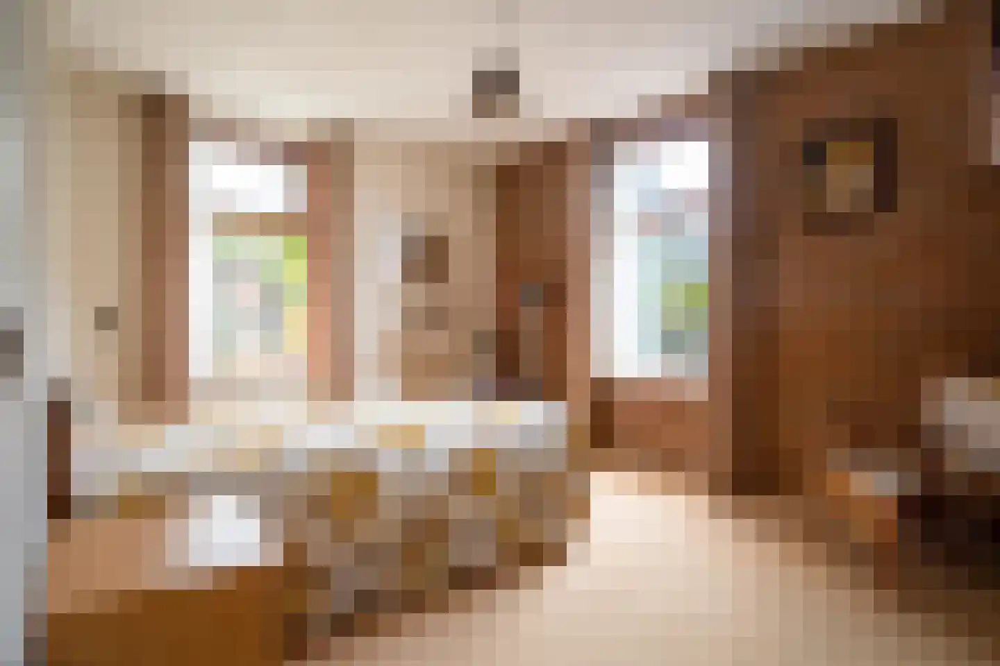 Hoofdstraat 55 Diever thumbnail 17