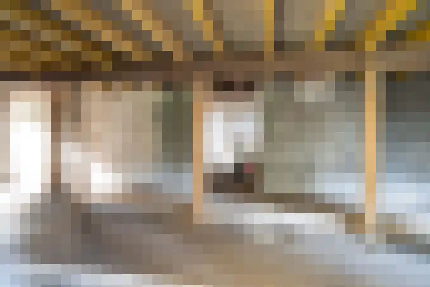 Hoofdstraat 55 Diever thumbnail 26