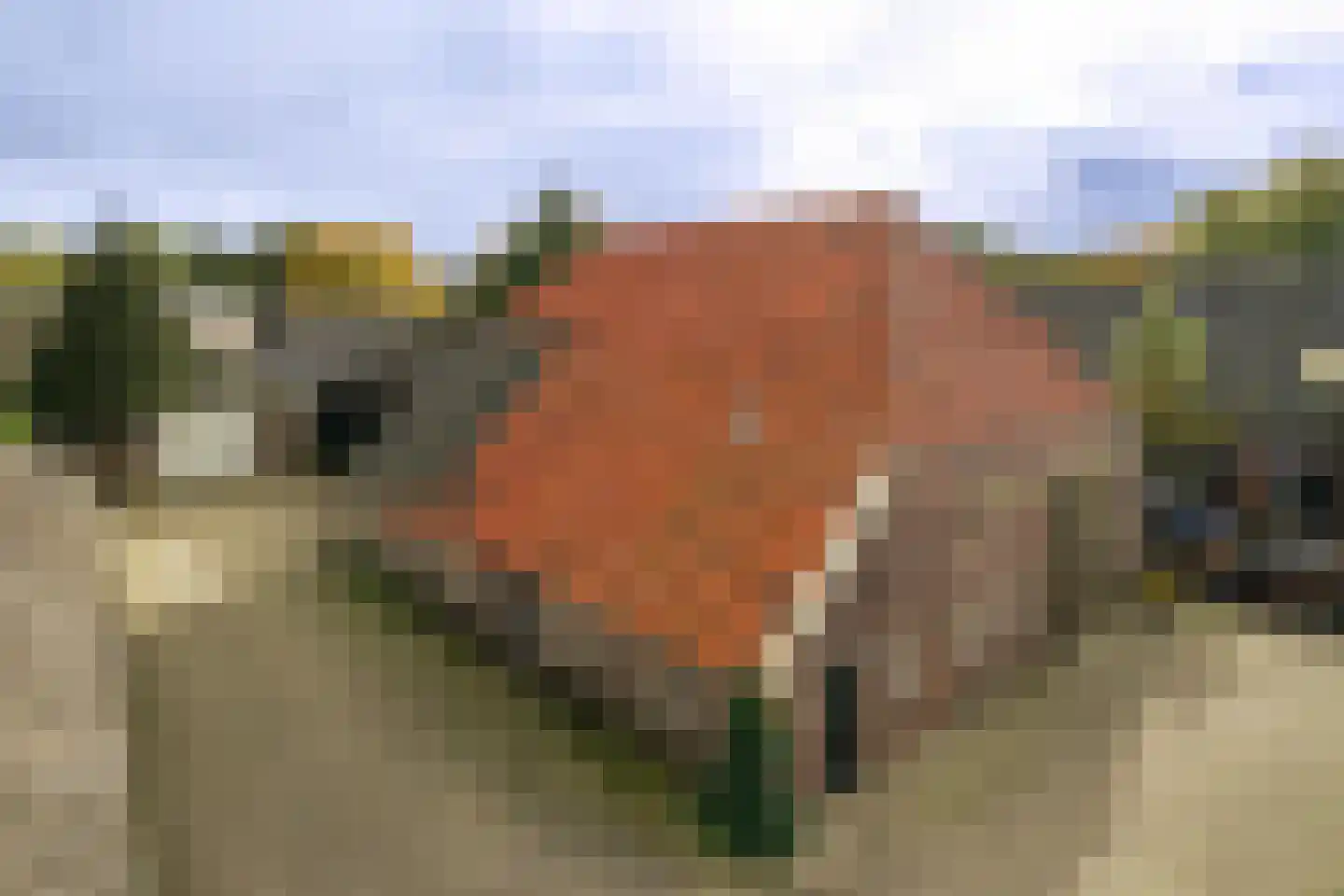 Hoofdstraat 55 Diever thumbnail 32
