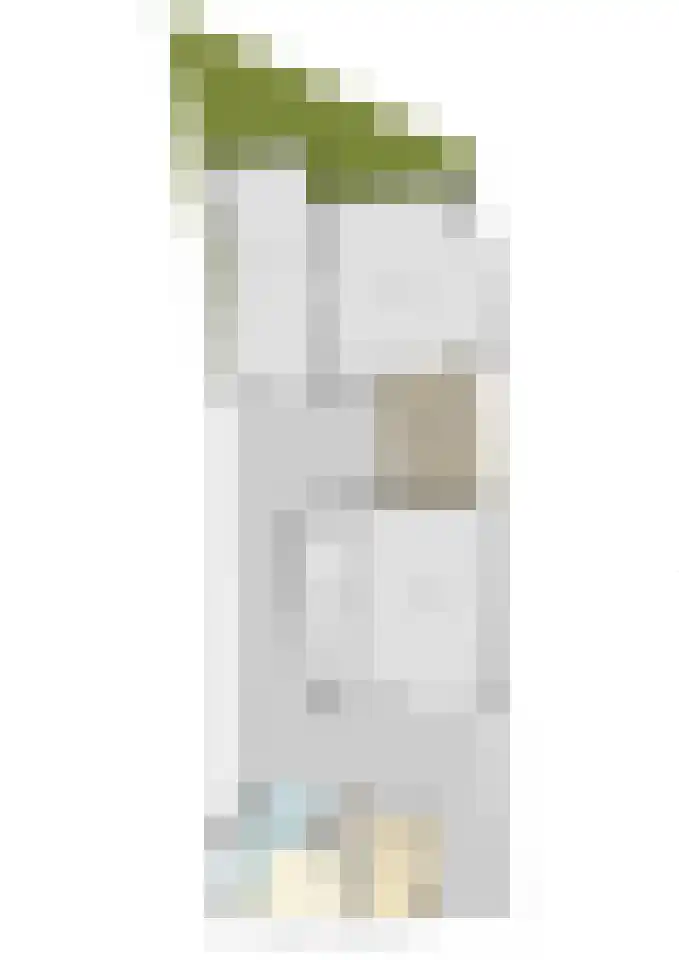Hoofdstraat 55 Diever thumbnail 44
