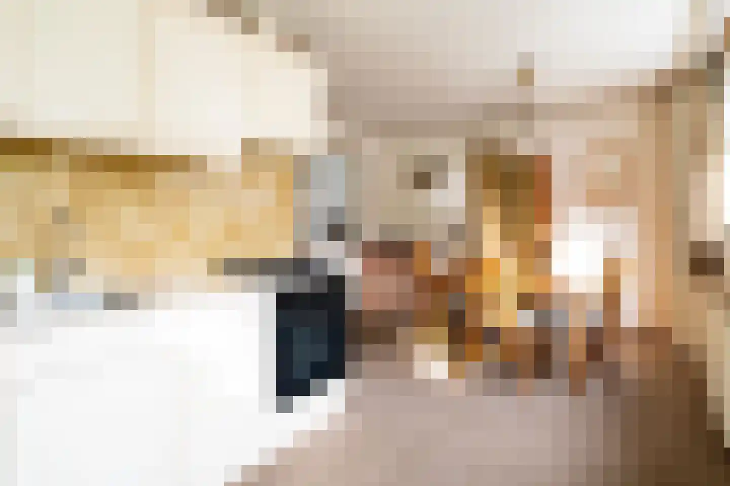 Hoofdstraat 55 Diever thumbnail 7