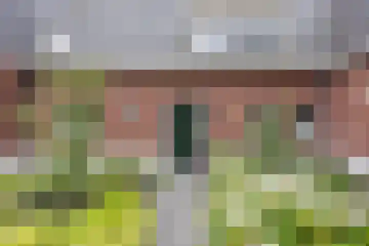 Hoofdstraat 58 Vroomshoop thumbnail 10