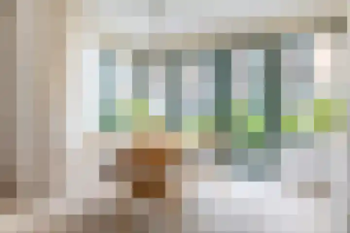 Hoofdstraat 58 Vroomshoop thumbnail 19
