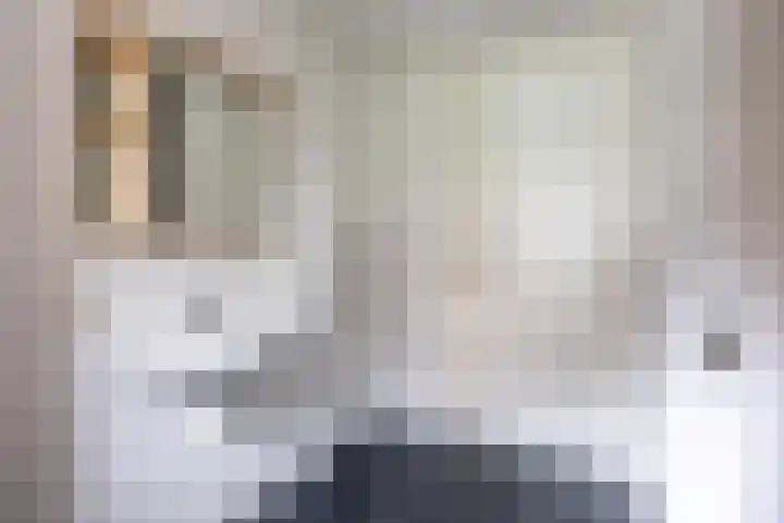 Hoofdstraat 58 Vroomshoop thumbnail 29