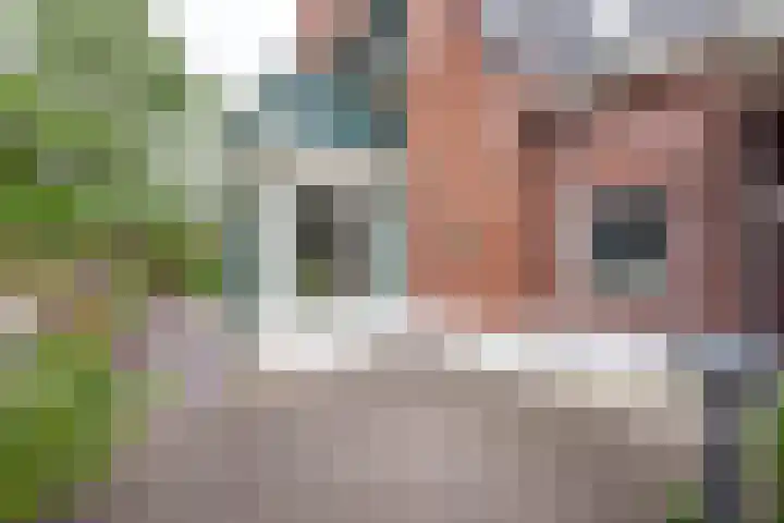 Hoofdstraat 58 Vroomshoop thumbnail 40