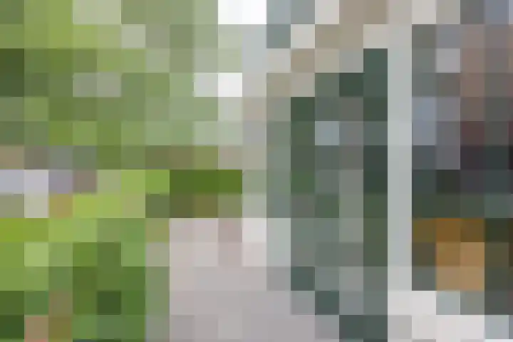 Hoofdstraat 58 Vroomshoop thumbnail 42
