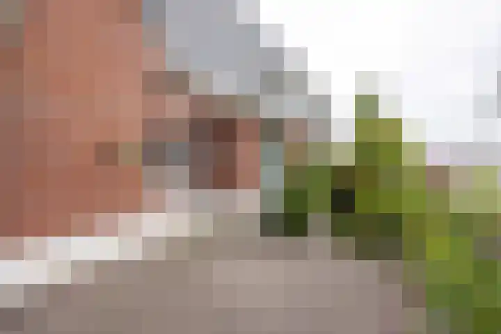 Hoofdstraat 58 Vroomshoop thumbnail 43