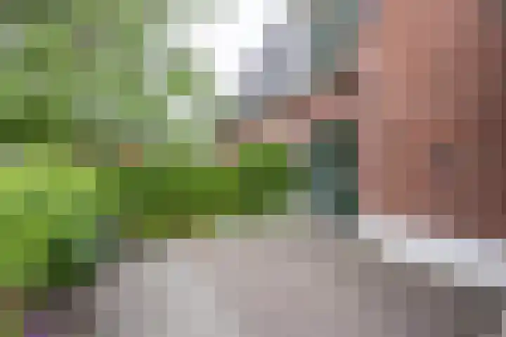 Hoofdstraat 58 Vroomshoop thumbnail 44