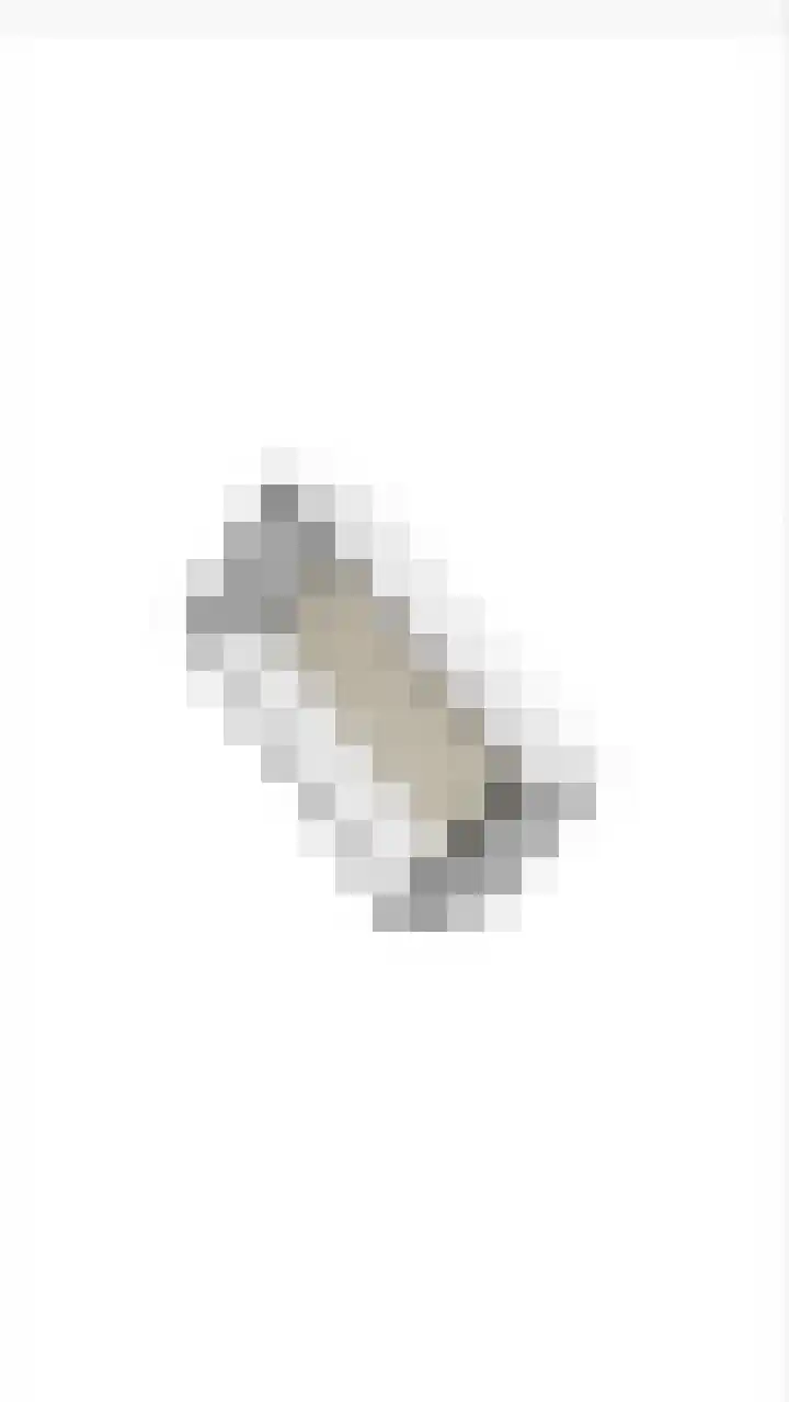 Hoofdstraat 58 Vroomshoop thumbnail 53