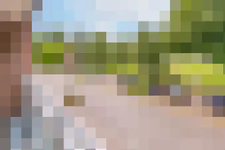 Hoofdstraat 59 Borger thumbnail 12