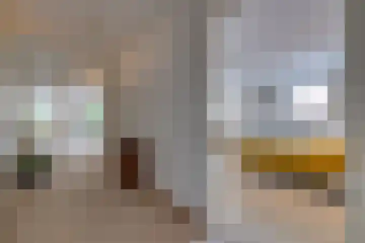 Hoofdstraat 59 Borger thumbnail 20