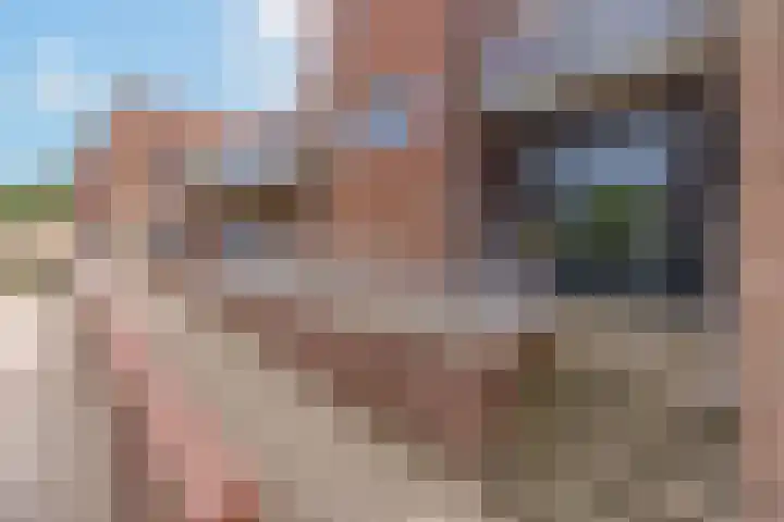 Hoofdstraat 59 Borger thumbnail 5