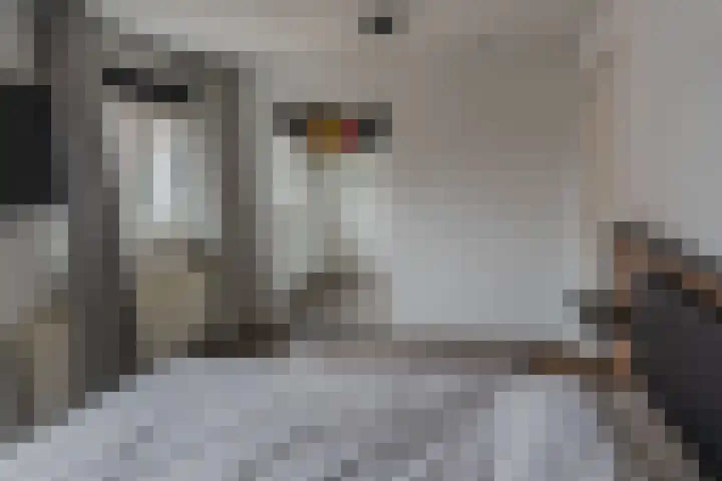 Hoofdstraat 59 Wolphaartsdijk thumbnail 32