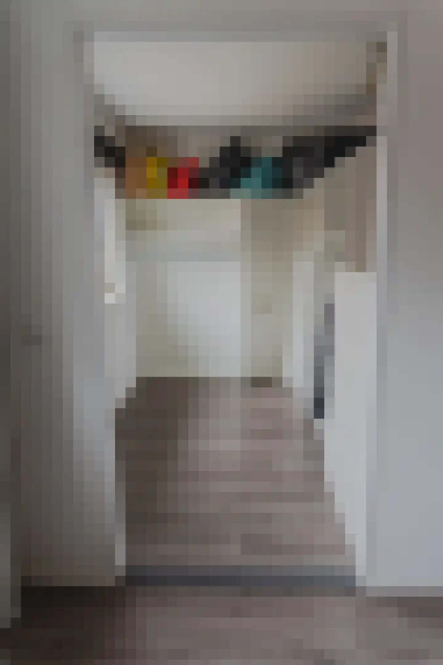 Hoofdstraat 59 Wolphaartsdijk thumbnail 34
