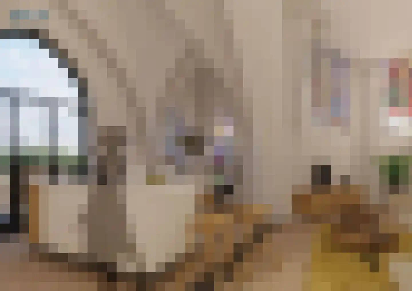 Hoofdstraat 6 Kilder thumbnail 8