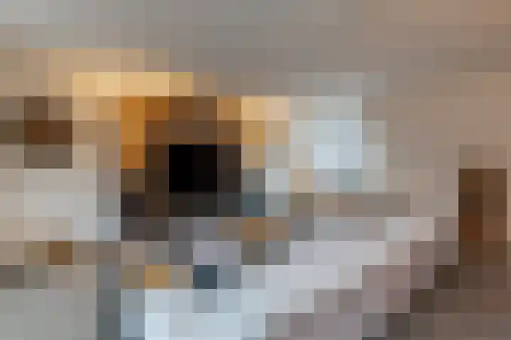 Hoofdstraat 61 Vroomshoop thumbnail 14
