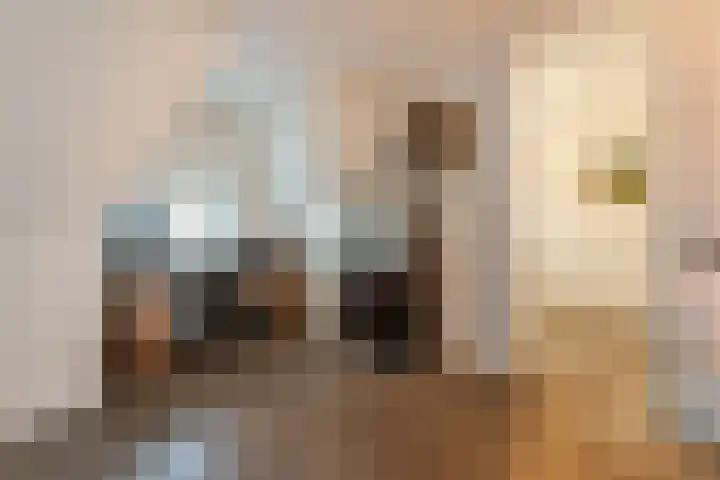 Hoofdstraat 61 Vroomshoop thumbnail 19